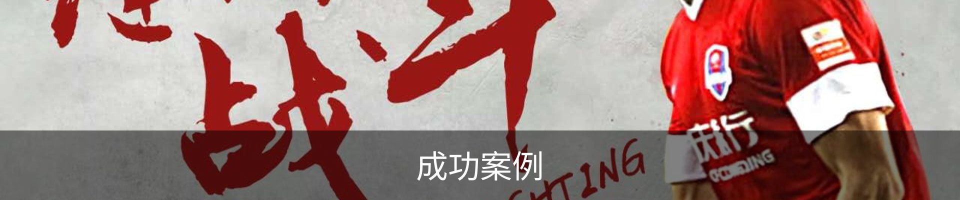 成功案例